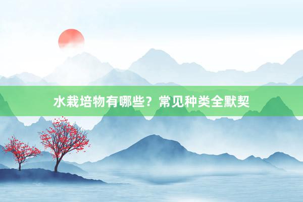水栽培物有哪些？常见种类全默契