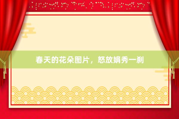 春天的花朵图片，怒放娟秀一刹