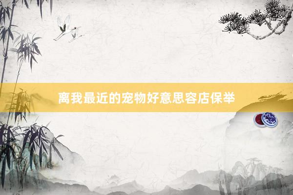 离我最近的宠物好意思容店保举