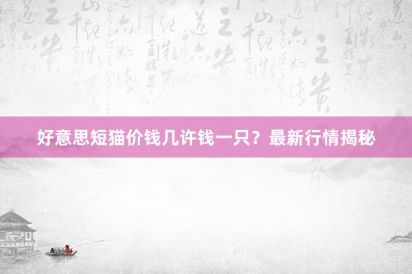 好意思短猫价钱几许钱一只？最新行情揭秘